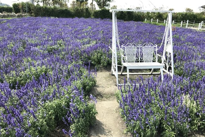 Private Taichung Instagram Day Tour from Taipei - Chung-she Flower Garden begins the day with color