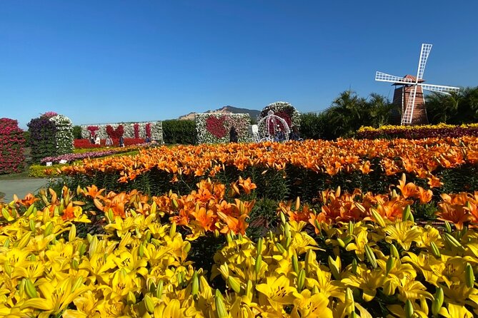 Private Taichung Instagram Day Tour from Taipei - Is $255 per person a fair price?