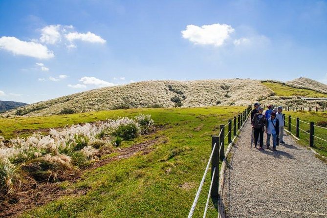 Private Yangmingshan & Beitou Tour from Taipei with Pickup - What the private car and guide add