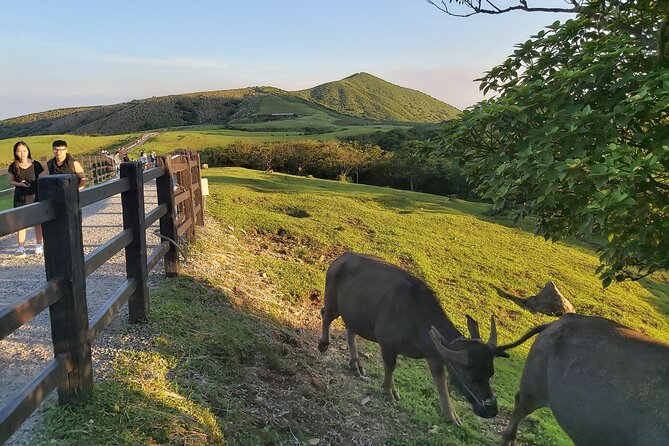 Private Yangmingshan National Park Hiking Day Tour from Taipei - Xiaoyoukeng and Yangmingshan’s volcanic side