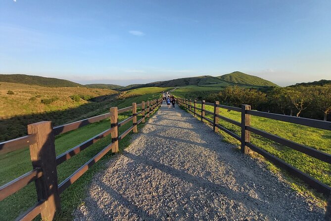 Private Yangmingshan National Park Hiking Day Tour from Taipei - What the $255 price really buys