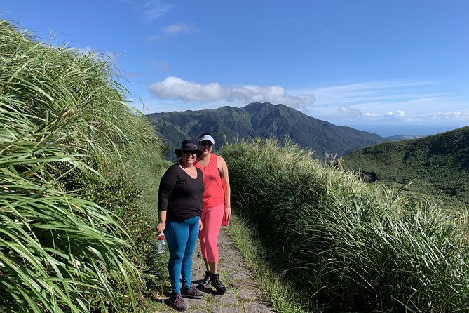 Private Yangmingshan Volcano Tour - Weather plans and useful flexibility