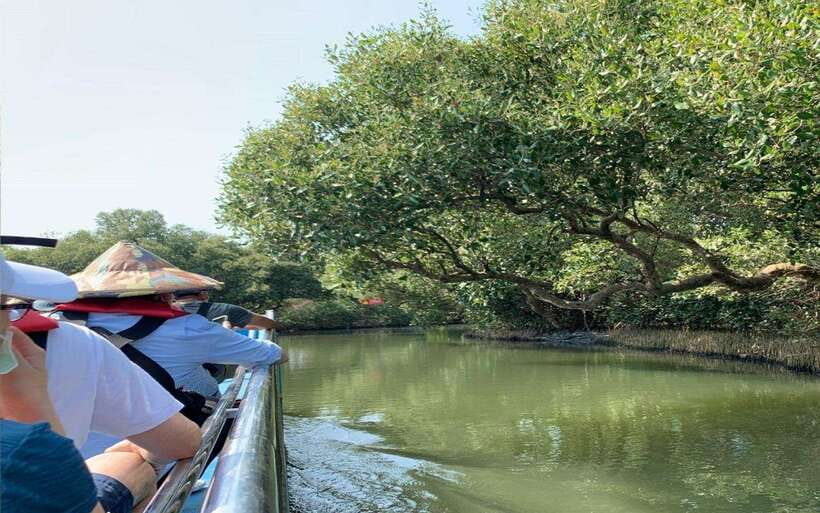 Tainan: Sicao Green Tunnel Scenic Boat Ride - A small boat into Tainan’s mangrove country