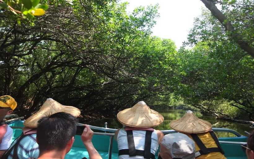 Tainan: Sicao Green Tunnel Scenic Boat Ride - Is $9 a fair price?