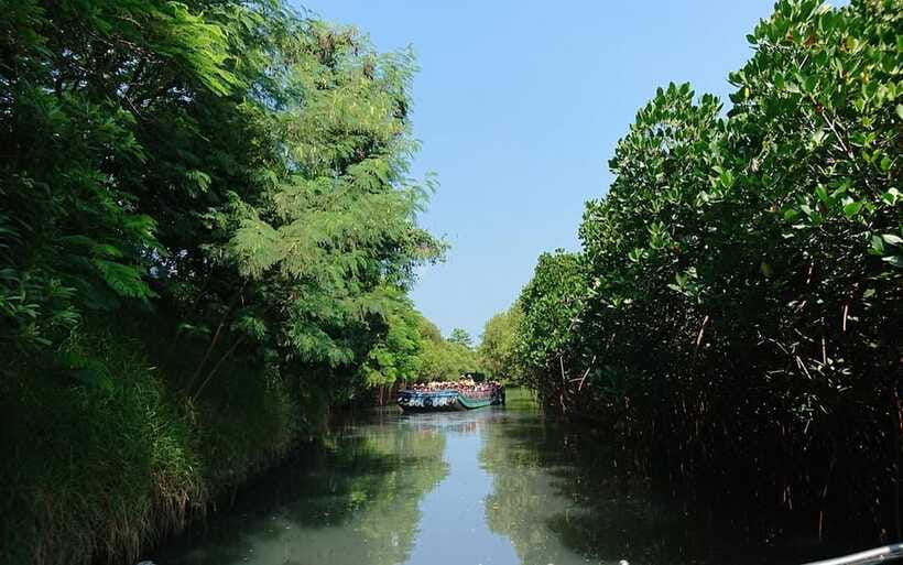 Tainan: Sicao Green Tunnel Scenic Boat Ride - What can go wrong, and how to plan around it