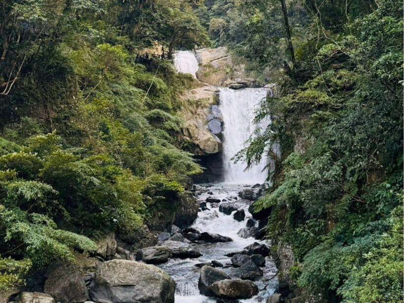 Taipei: 8 Hours Private Day Tour in Wulai with Benz Vito - Neidong National Forest Recreation Area and the fern trail
