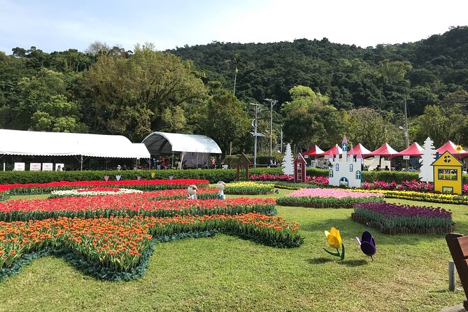 Taipei Cherry Blossom Day Tour to Yangmingshan and Tamsui - Tian Yuan Temple and the best blossom setting