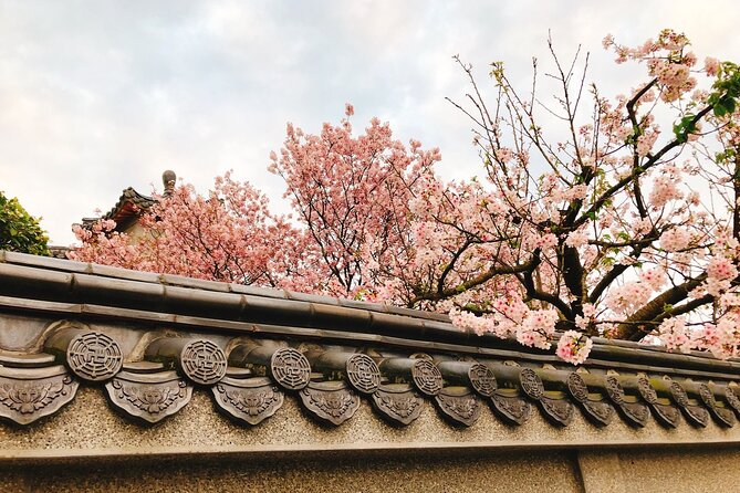 Taipei Cherry Blossom Day Tour to Yangmingshan and Tamsui - Meeting near Zhongxiao Xinsheng Station
