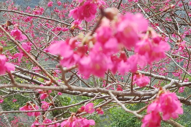 Taipei City to Taoyuan Airport Private Transfer - The roughly one-hour road journey