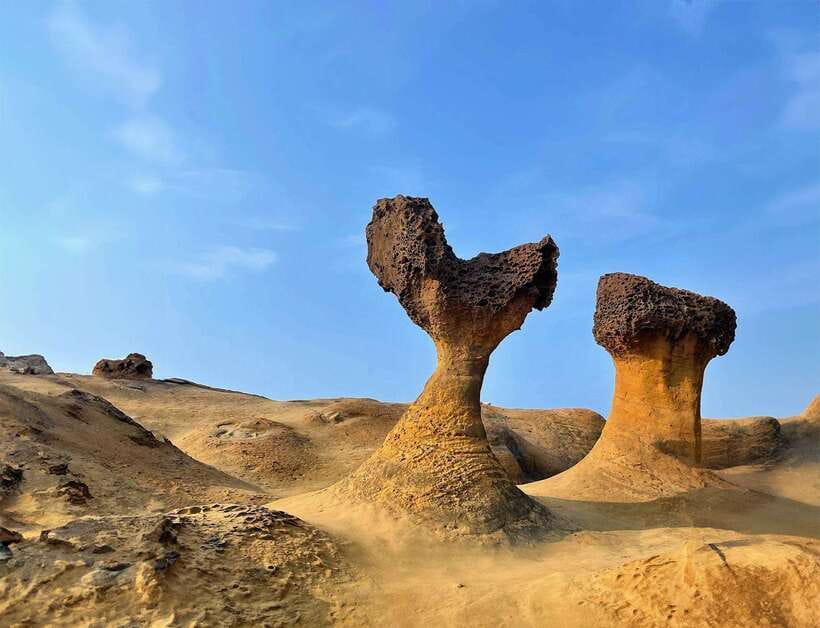 Taipei: Northern Taiwan Private Yehliu, Jiufen, & Shifen - Yehliu Geopark and its strange stone shapes