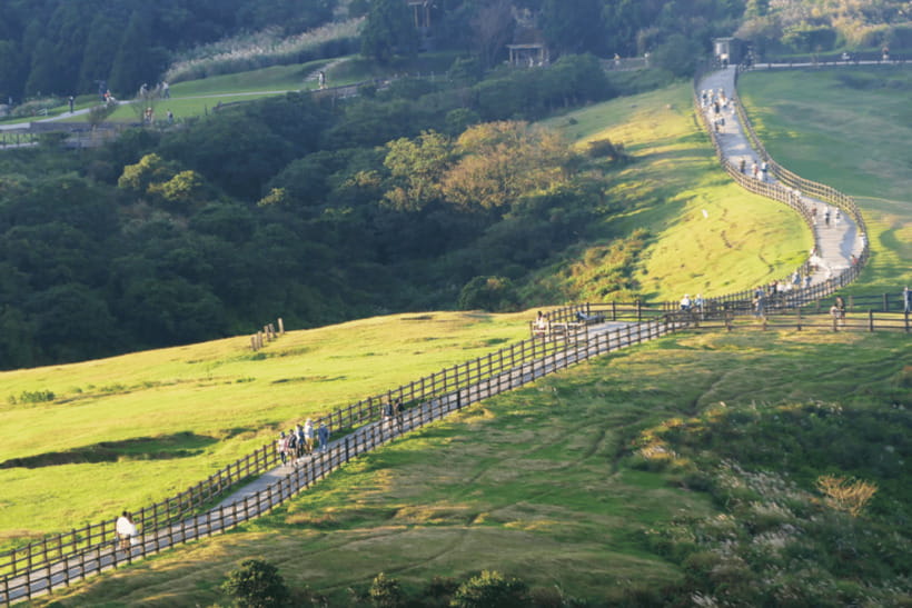 Taipei: Yangmingshan & Beitou Full-Day Tour - Sulfur Valley and the volcanic side of Taiwan
