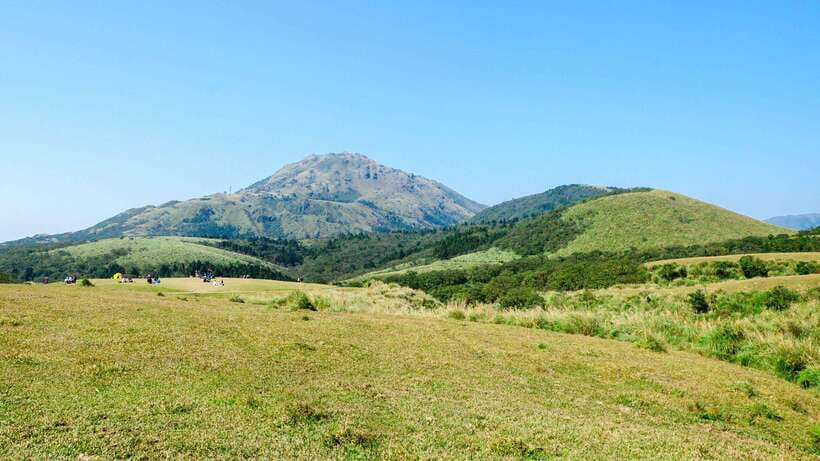 Taipei: Yangmingshan National Park Half-Day Tour - Starting at Xingtian Temple MRT Station