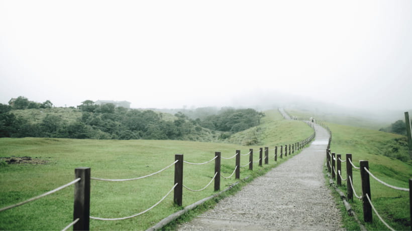 Taipei: Yangmingshan National Park Half-Day Tour - Who will enjoy this Yangmingshan tour?