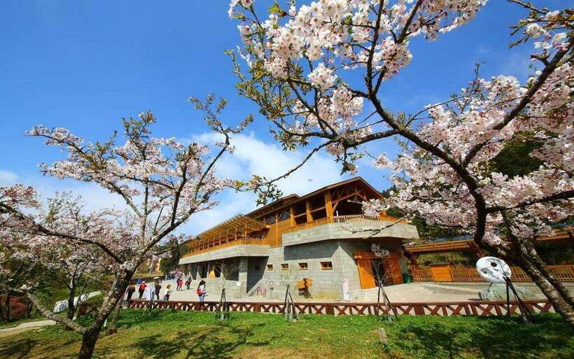 Taiwan: Alishan National Forest Recreation Area E-ticket - Key things to know before you go