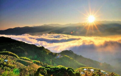 Alishan National Forest Recreation Area E-ticket