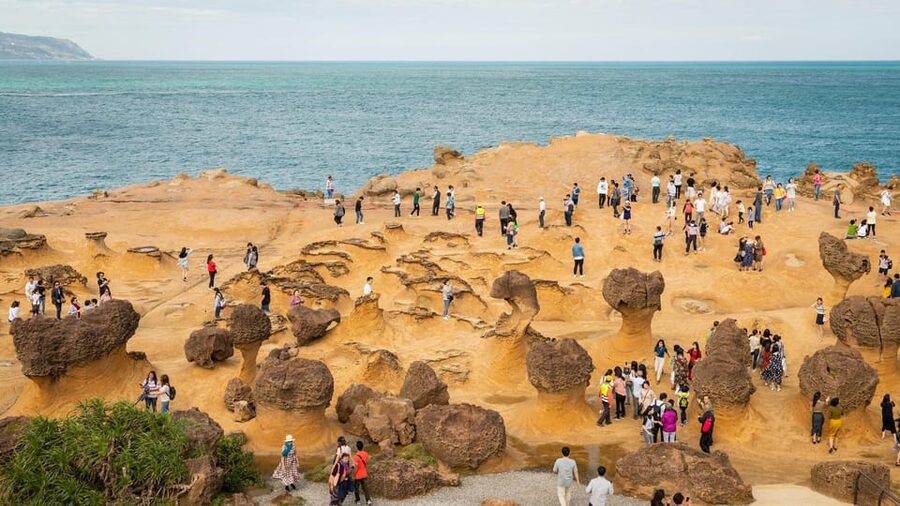 Taiwan Taipei: Customized Private Tour - What the service does well