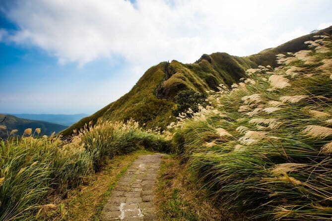 Taiwan TST : Private Tour Taipei, Yangmingshan, Beitou, Tamsui - Why this makes sense as a private Taipei day