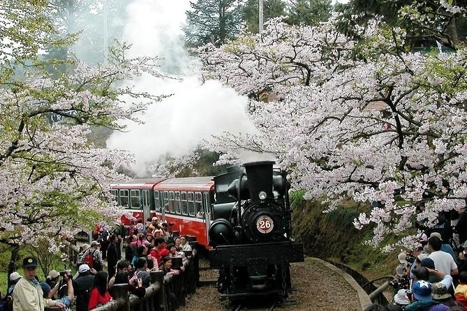 Two-day Sun Moon Lake & Alishan Forest Park Tour Package - Why this route works for a short Taiwan visit