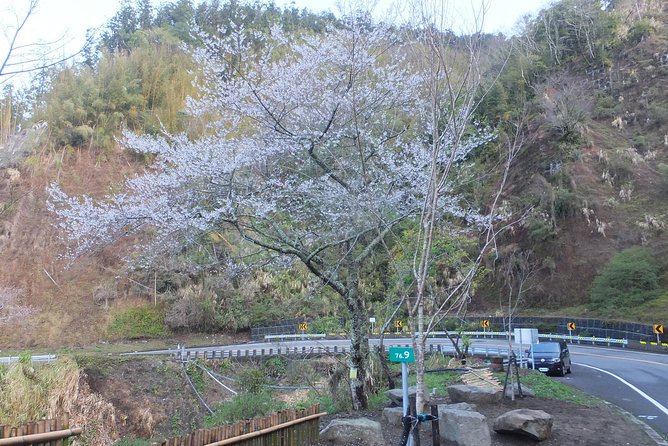 Two-day Sun Moon Lake & Alishan Forest Park Tour Package - What the $1,000 group price really covers