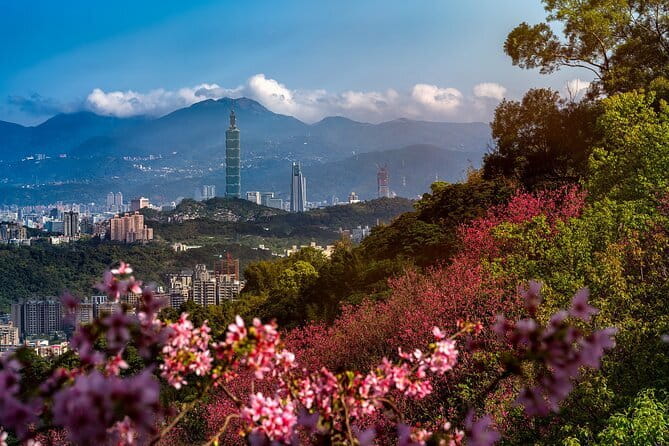 Vintage Taipei - Best of Taiwan & Sunset Walking Tour (Tip-based) - Finishing at Dadaocheng Wharf at sunset