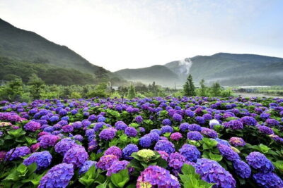 Yangmingshan, Yehliu, Jiufen & Shifen Private Tour From Taipei