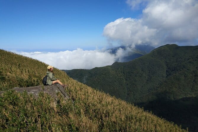 Yangmingshan, Yehliu, Jiufen & Shifen Private Tour From Taipei - The driver-guide format and the people who make the day
